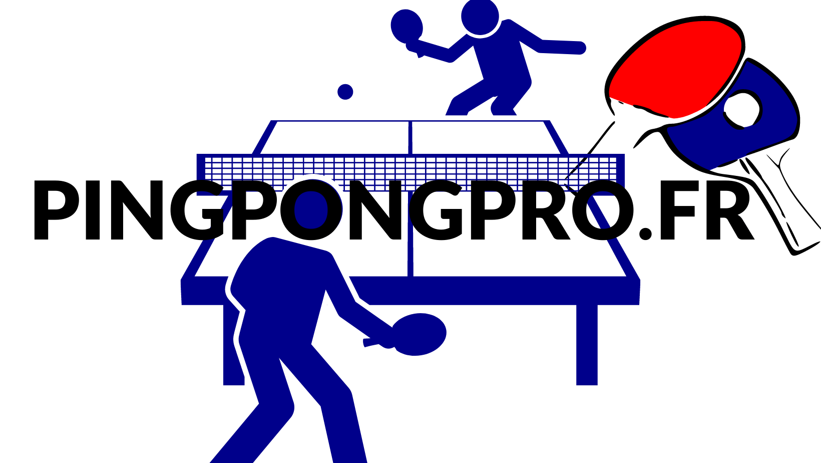 Code promo pingpongpro.fr