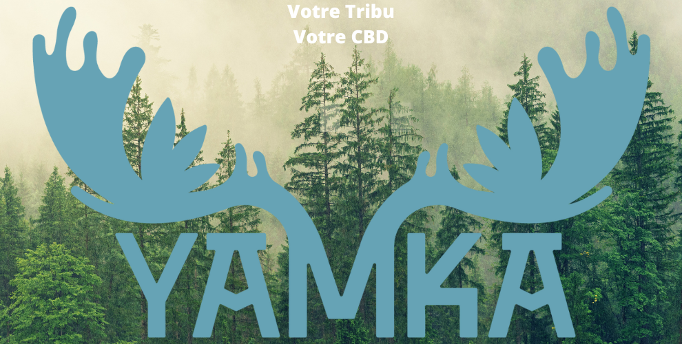 Code promo Yamka First