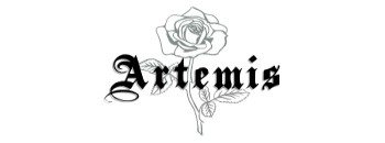 Artemis Accessories Coupon Codes