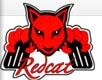 Redcat Racing Coupon Codes
