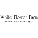 White Flower Farm Coupon Codes