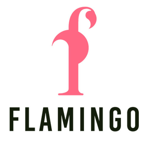 Flamingo Technologies LLC Coupon Codes
