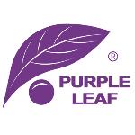purpleleafshop.com Coupon Codes